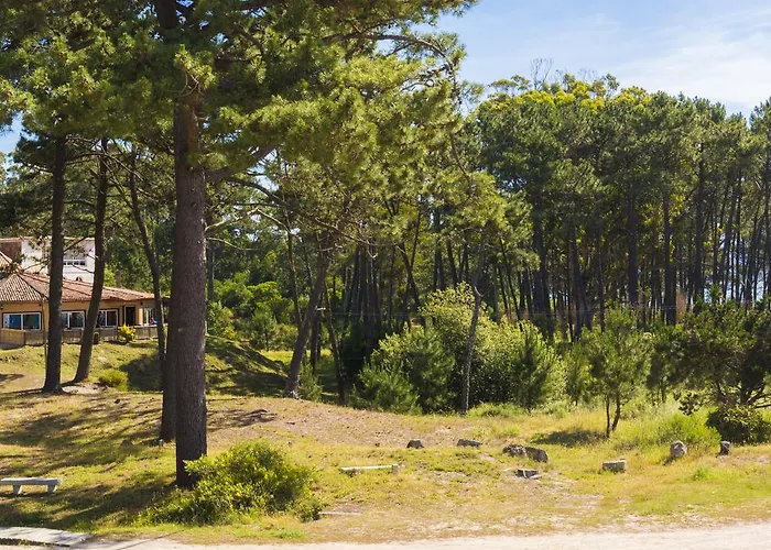 Отель El Molino 3*